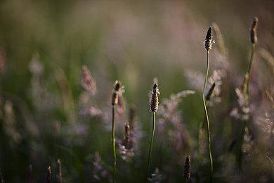 《HIGH on LIFE》推迟至12月13日发行